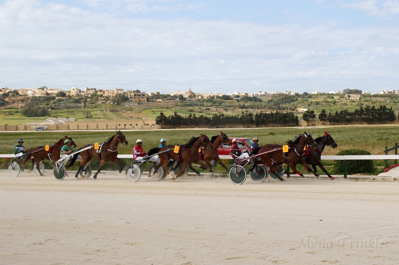 2015_Race 6 - 06.JPG